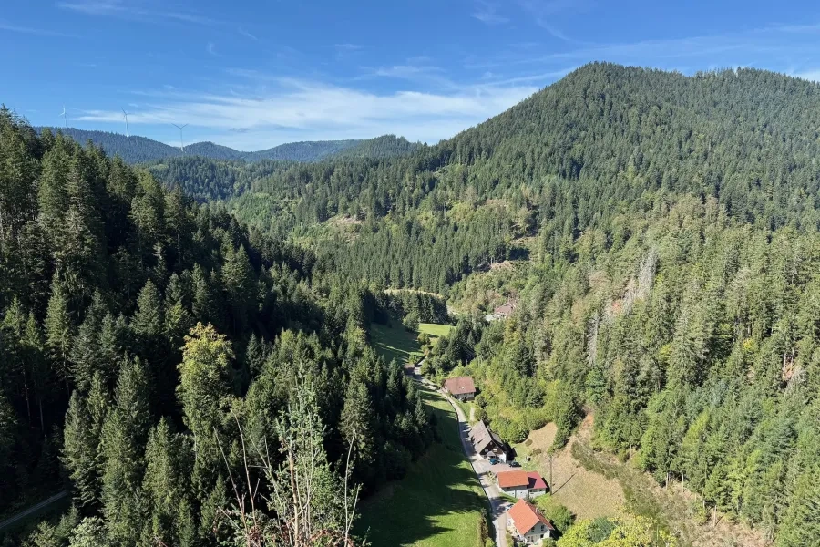 Schwarzwald