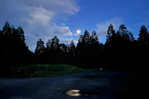Mond spiegelt sich in einer Pfütze