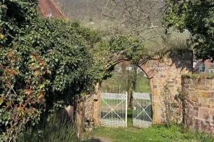Überwachsenes Tor