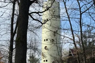 Turm im Wald