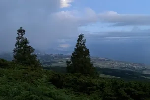 Mond hinter Wolken über Bäumen