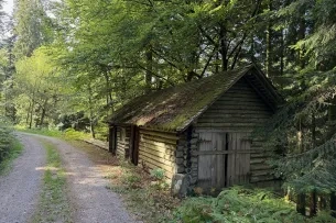Verlassene Hütte im Wald