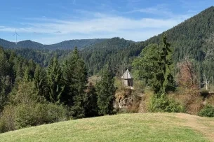 Blick über den Schwarzwald