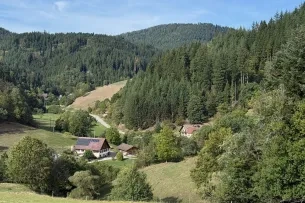 Schwarzwald