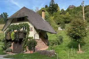 Bewachsenes Haus