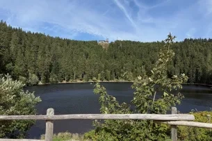 Blick über den Muckensee