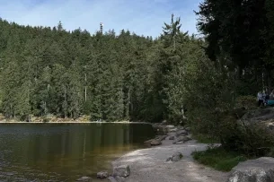 Ufer eines Sees