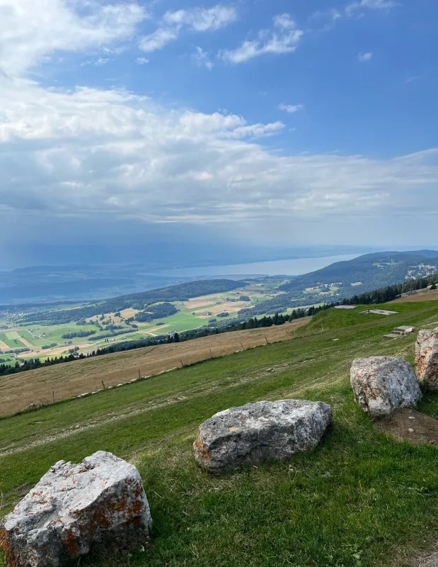 Weitblick